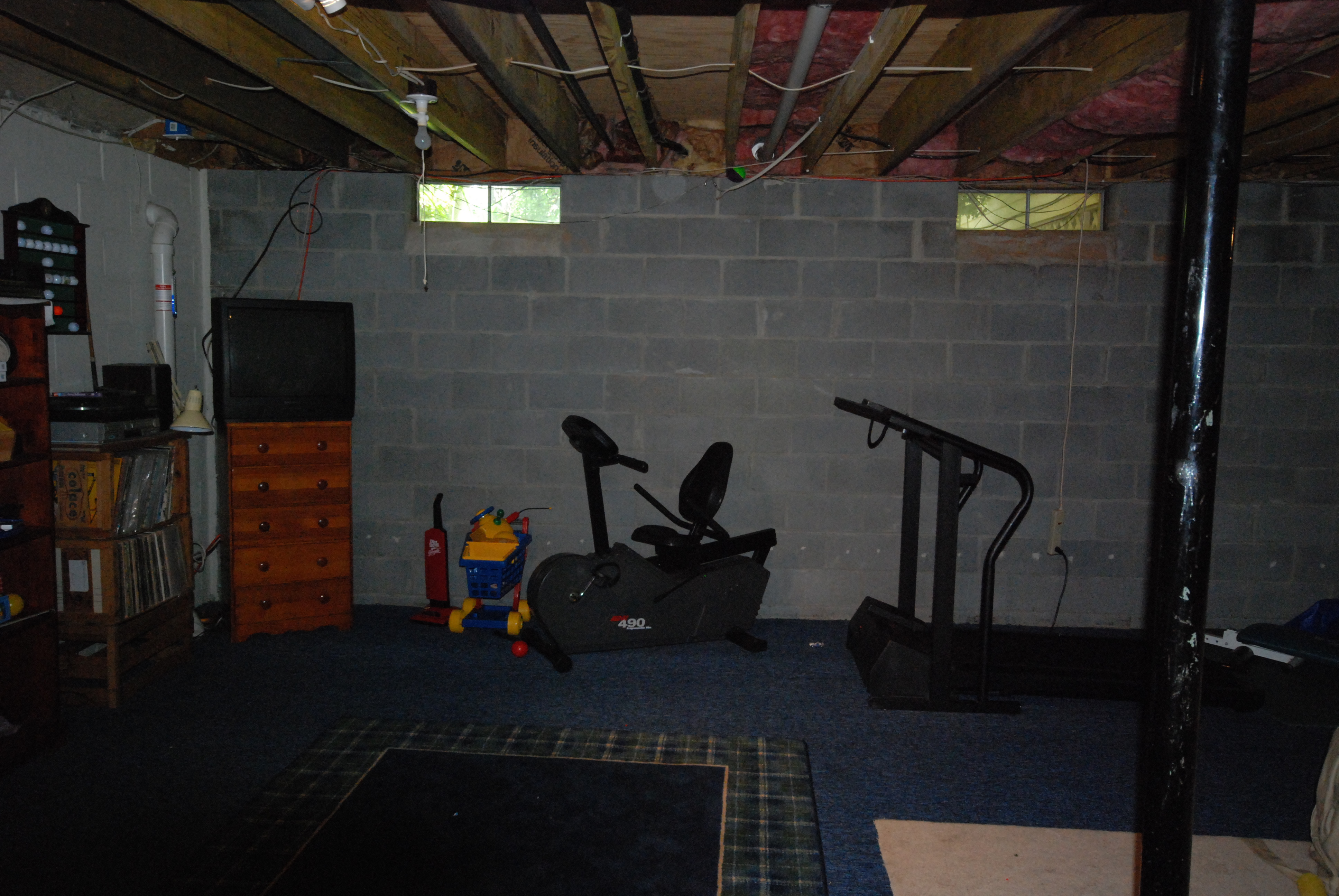 Basement Before